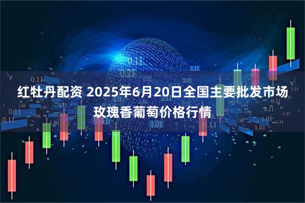 红牡丹配资 2025年6月20日全国主要批发市场玫瑰香葡萄价格行情