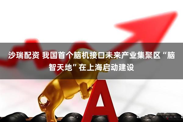 沙瑞配资 我国首个脑机接口未来产业集聚区“脑智天地”在上海启动建设
